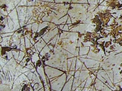 In alcuni casi la testa degli uomini � raffigurata a forma di V, in altri compare come una sfera o un triangolo, in altre ancora le figure hanno una testa �a raggiera�. Ci sono anche omini con due cerchietti a rappresentare gli occhi e �dotati� persino di un pene